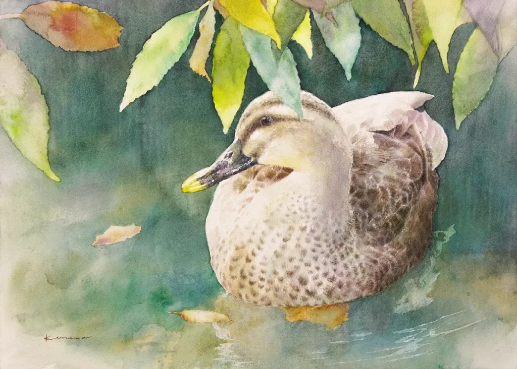 秋の澄んだ小川の浅瀬で、木陰で休む鴨と秋彩に染まりつつある木の葉を透明水彩で描いた作品