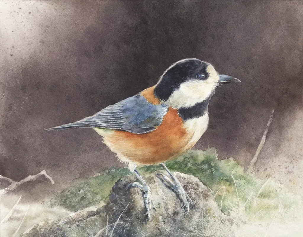 やわらかな光に包まれて佇むヤマガラを描いた透明水彩画