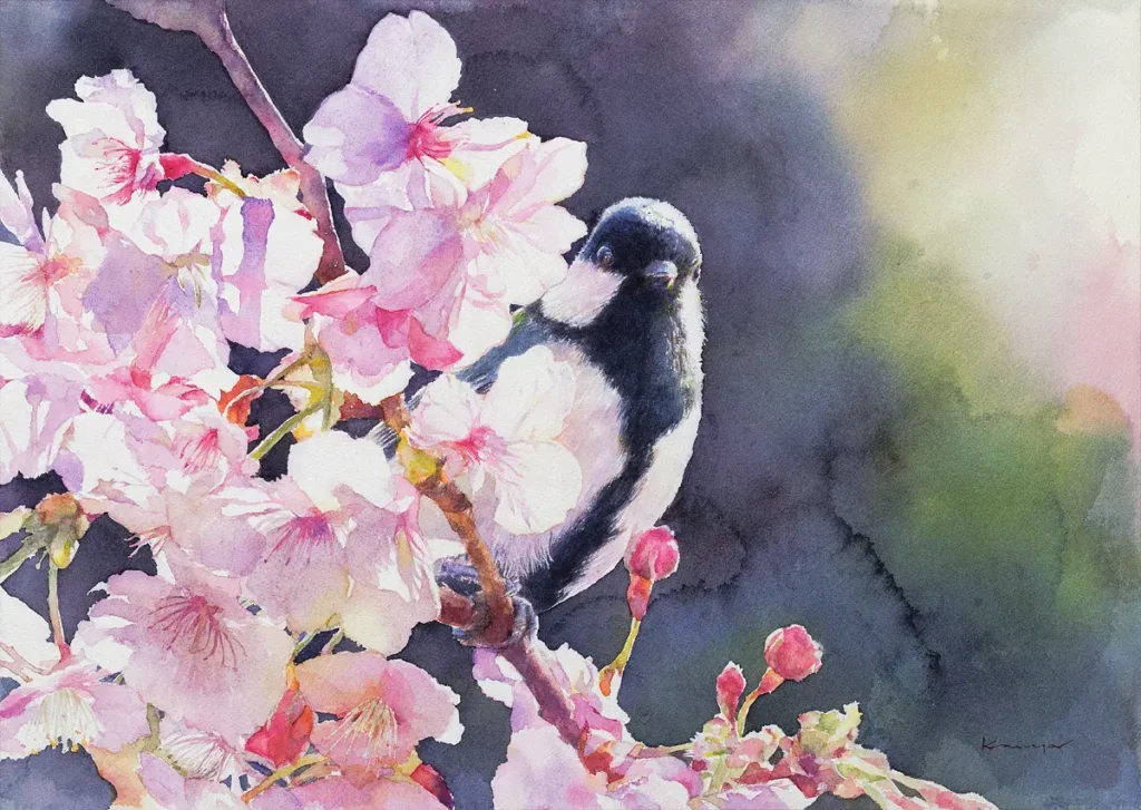 満開の河津桜の間から顔を出すシジュウカラを、花びらの透明感と逆光を生かして透明水彩で描いた作品