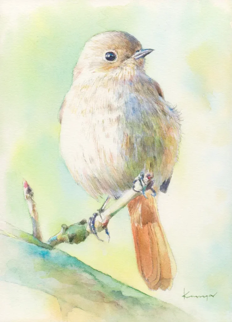 温かな緑色の空気に包まれて、木の枝にとまるジョウビタキを透明水彩で描いた作品