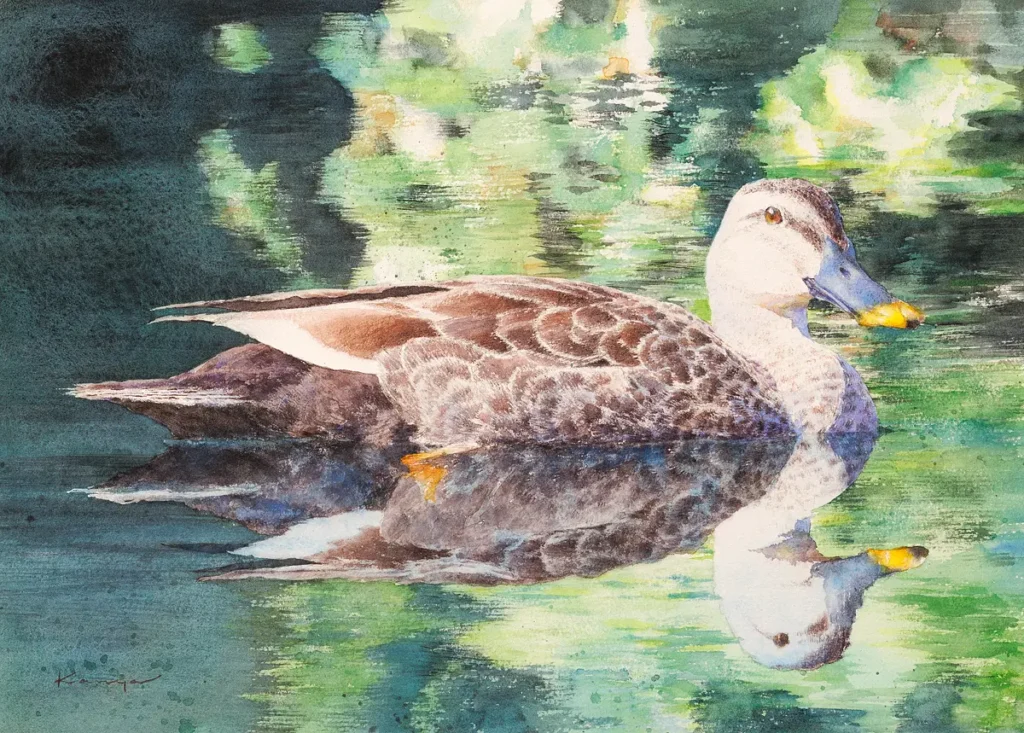 8月の強い陽射しの中、樹々の緑が映り込む池で優雅に泳ぐ鴨を透明水彩で描いた作品