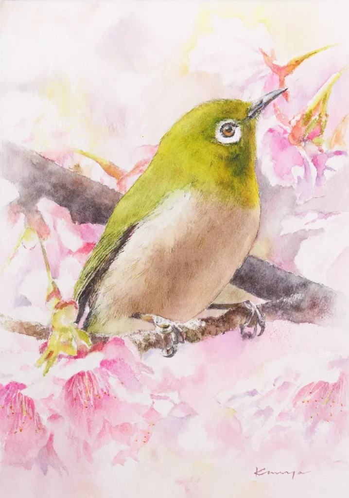 早春の陽射しの中で咲き誇る河津桜とメジロの透明水彩画