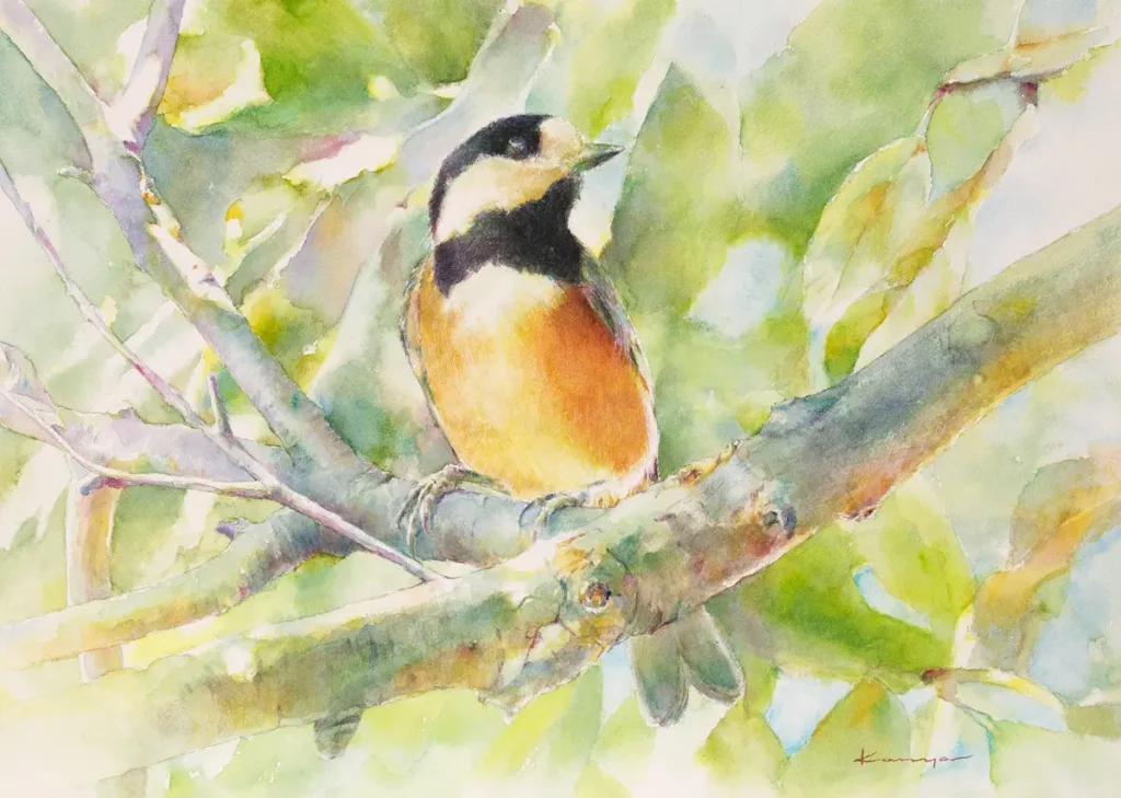 新緑と眩い陽射しに包まれたヤマガラを透明水彩で描いた作品